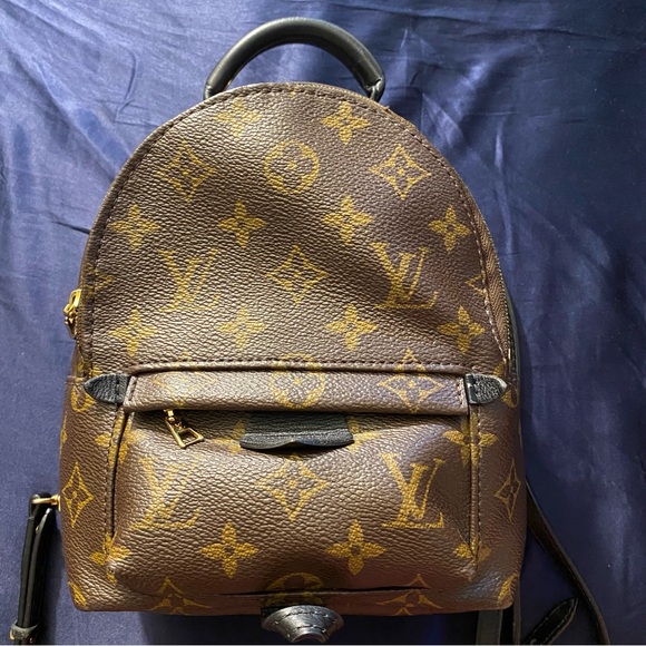 Louis Vuitton Palm Springs Backpack Mini Brown Canvas - Picture 11 of 15
